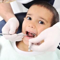 1100 toddler calm dentist