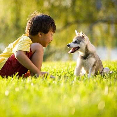 600 pet care for kids