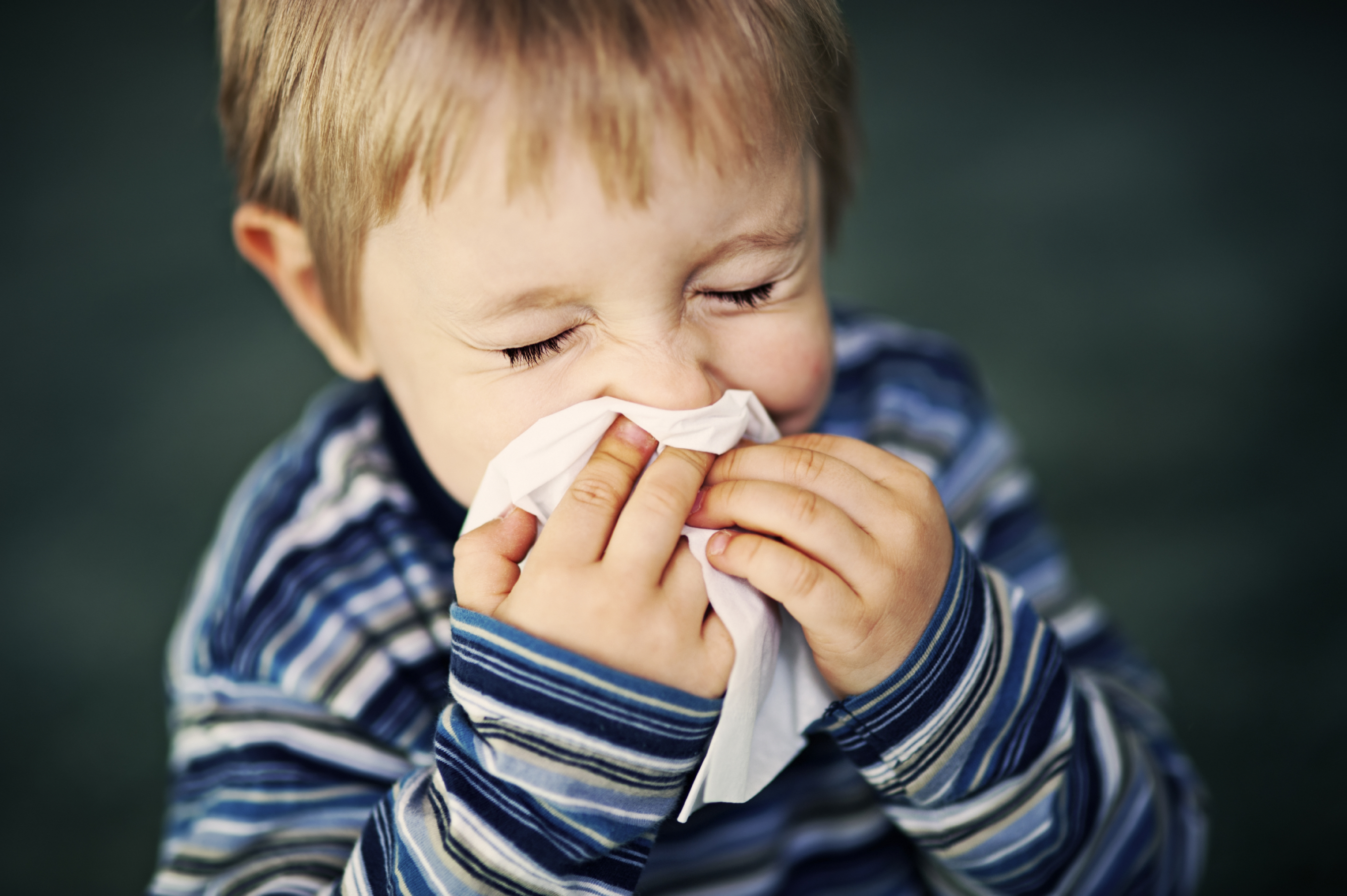 bambini e allergia alla polvere: rimedi
