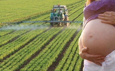 pesticidi e gravidanza e1403804727637