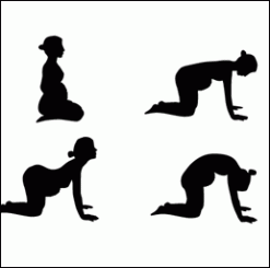 yoga-cat-pose-outline