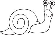 snail gastropod mollusk cartoon