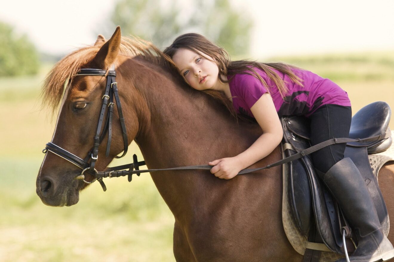 Animale terapia cavalli per condizioni fisiche bambini