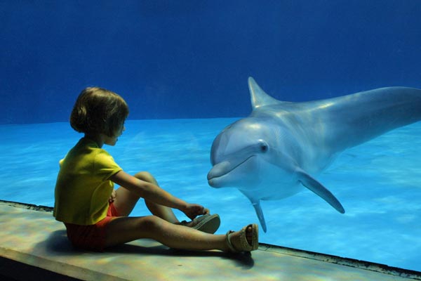 Animale terapia delfino bambino con problemi motori
