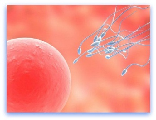 riconoscere i sintomi dell'ovulazione