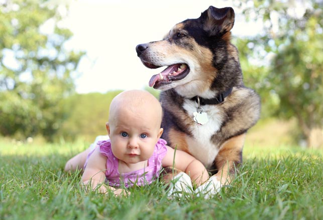 10 motivi per prendere un cucciolo a un bambino
