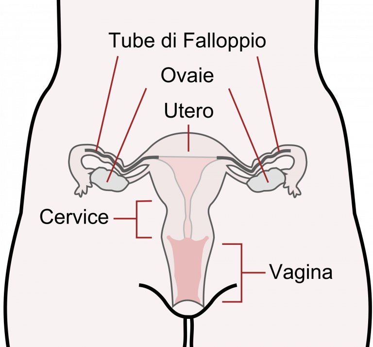 piaghetta utero
