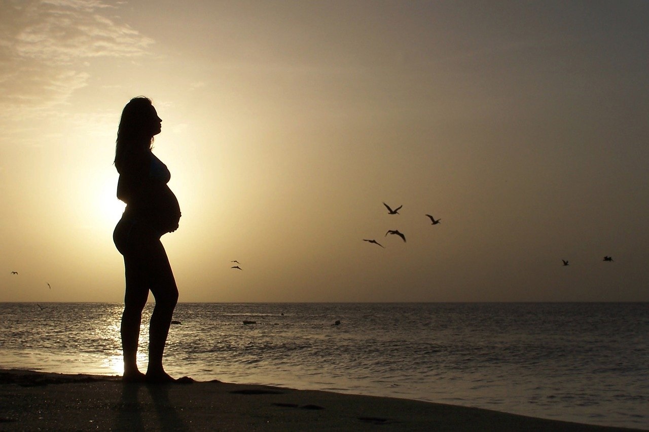 viaggiare quando si è incinta