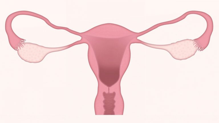 menopausa precoce e gravidanza