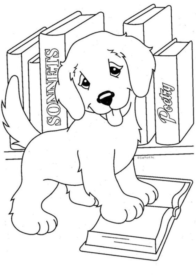 disegni da colorare animali cane