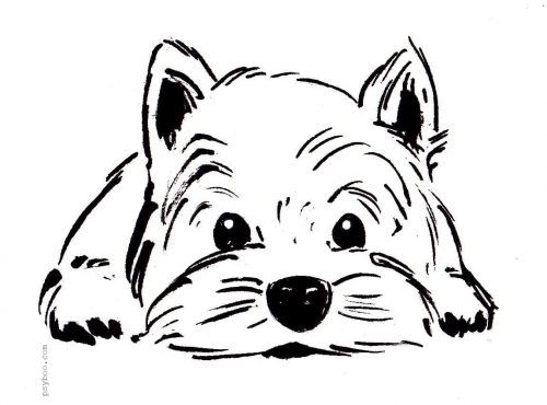 disegni da colorare cani download