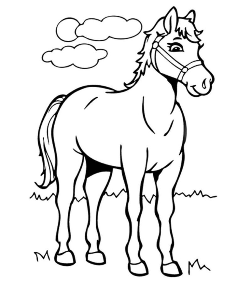 disegni da colorare cavalli online