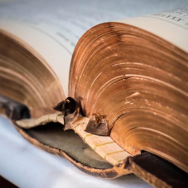 Donne ricercatrici: «Io 007 dei manoscritti antichi così ho ricostruito la storia di Bernardino Telesio in Europa»