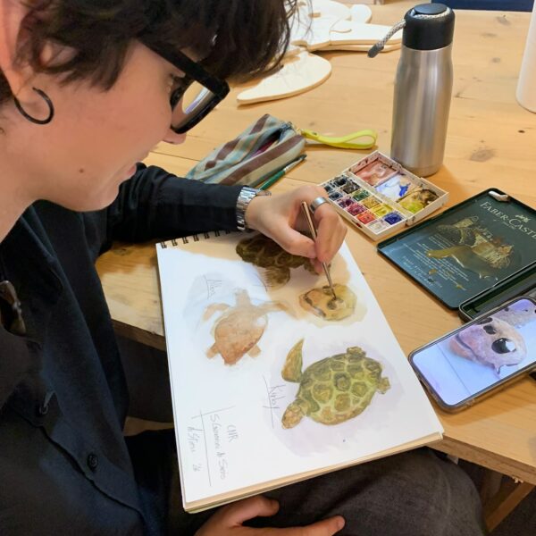 I giovani più vicini alla natura grazie all’arte