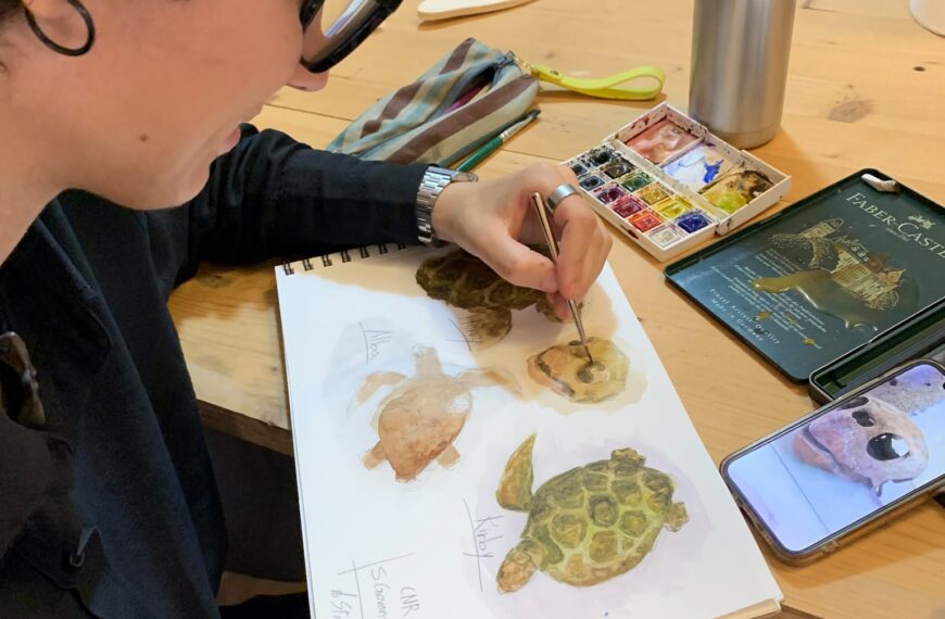 I giovani più vicini alla natura grazie all’arte