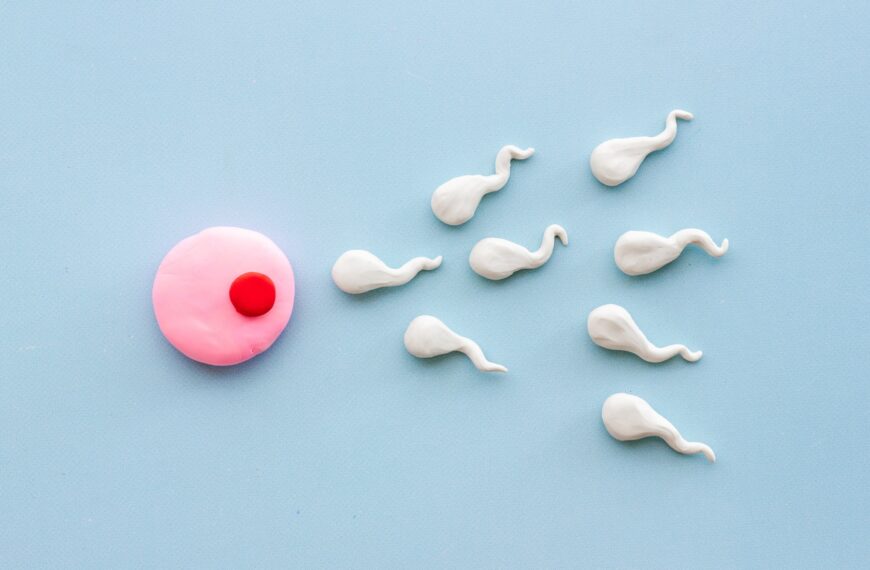 Preservare la fertilità nelle bambine sottoposte a cure che minacciano le ovaie